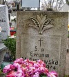 Fot. 15. Kwiat konwalii na nagrobku Ewuni Matuszewskiej.