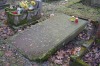 Fot. 10. Najstarszy nagrobek na cmentarzu,  Hedwig Wahl.